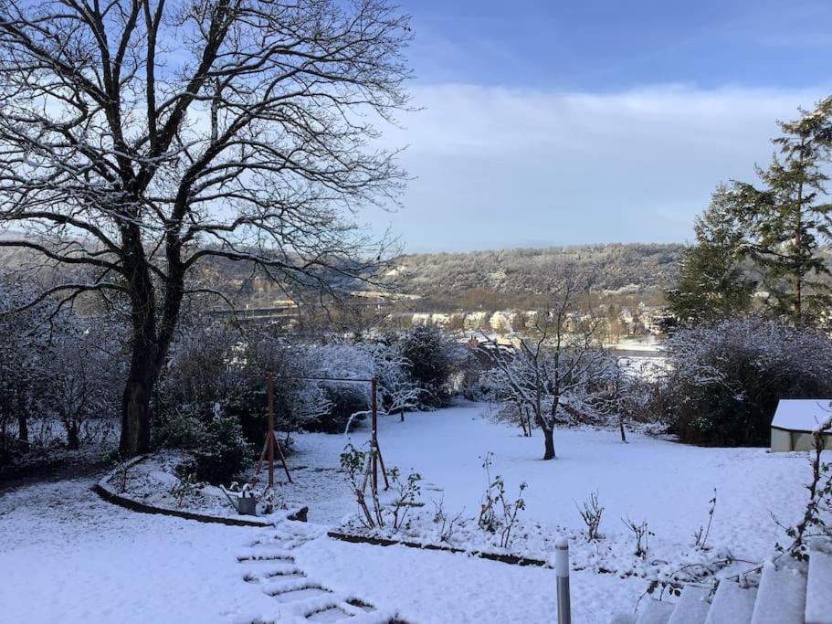 Ferienwohnung Apartment Doppelzimmer In Der Villa Naturpark Rheinblick, Ruhig, Aussicht, Pool Koblencja Zewnętrze zdjęcie