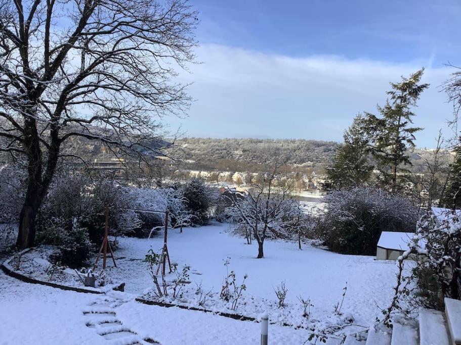 Ferienwohnung Apartment Doppelzimmer In Der Villa Naturpark Rheinblick, Ruhig, Aussicht, Pool Koblencja Zewnętrze zdjęcie