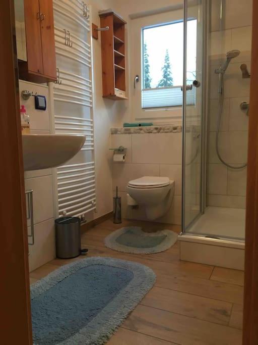 Ferienwohnung Apartment Doppelzimmer In Der Villa Naturpark Rheinblick, Ruhig, Aussicht, Pool Koblencja Zewnętrze zdjęcie