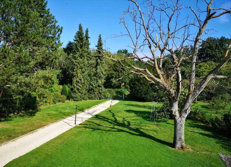 Ferienwohnung Apartment Doppelzimmer In Der Villa Naturpark Rheinblick, Ruhig, Aussicht, Pool Koblencja Zewnętrze zdjęcie