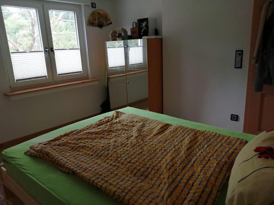 Ferienwohnung Apartment Doppelzimmer In Der Villa Naturpark Rheinblick, Ruhig, Aussicht, Pool Koblencja Zewnętrze zdjęcie